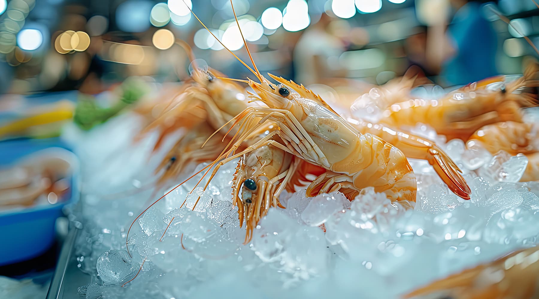 Evaluating Export Market Positioning and Demand Drivers for Green Asia Impex in Shrimp & Red Chilies